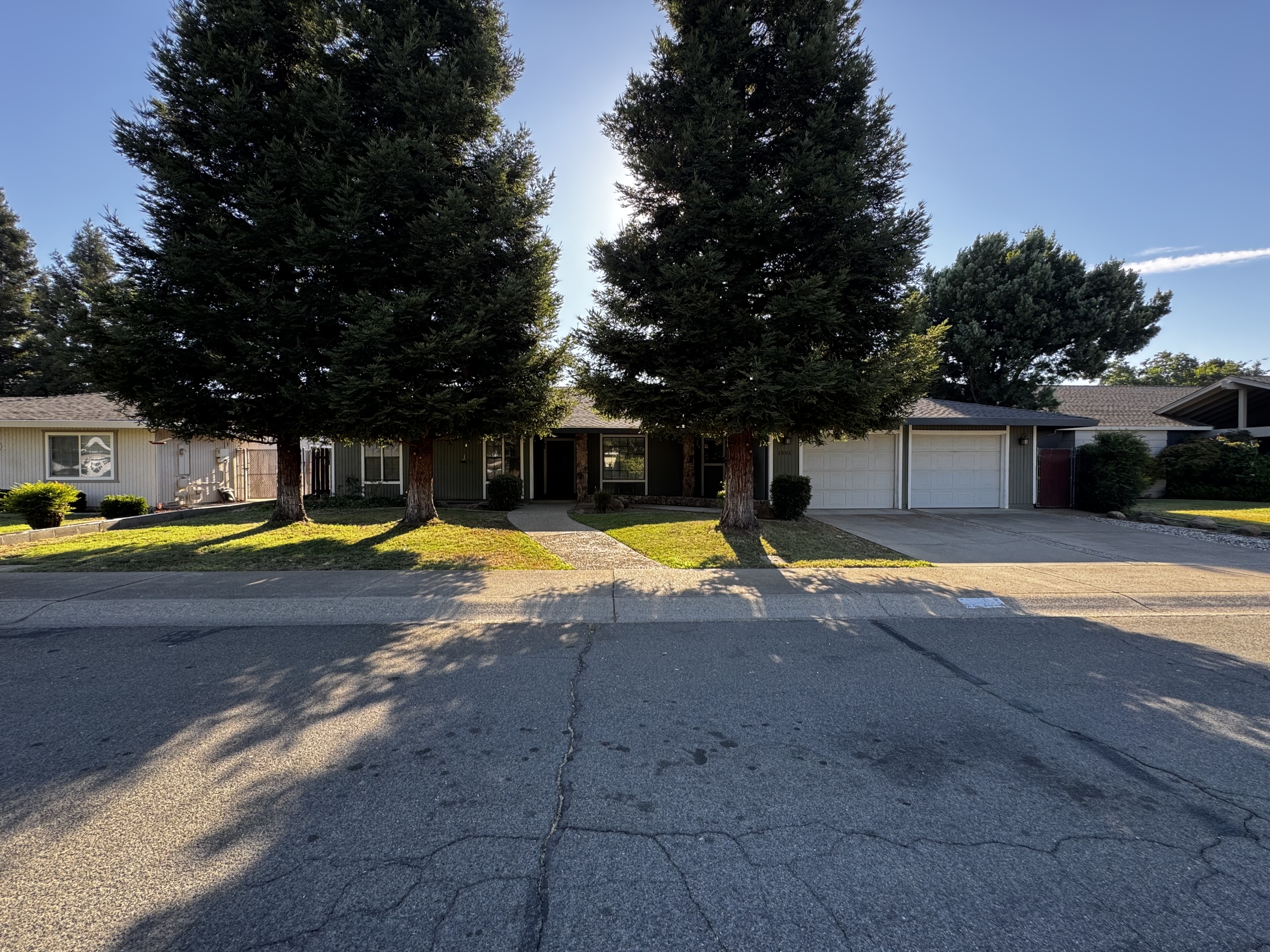 1591 Christifer Lane